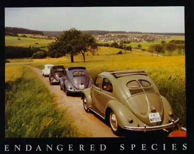 (VW) Volkswagen Endangered Species ( Beetle Lineup )Car Poster Out Of Print :>) • $29.95